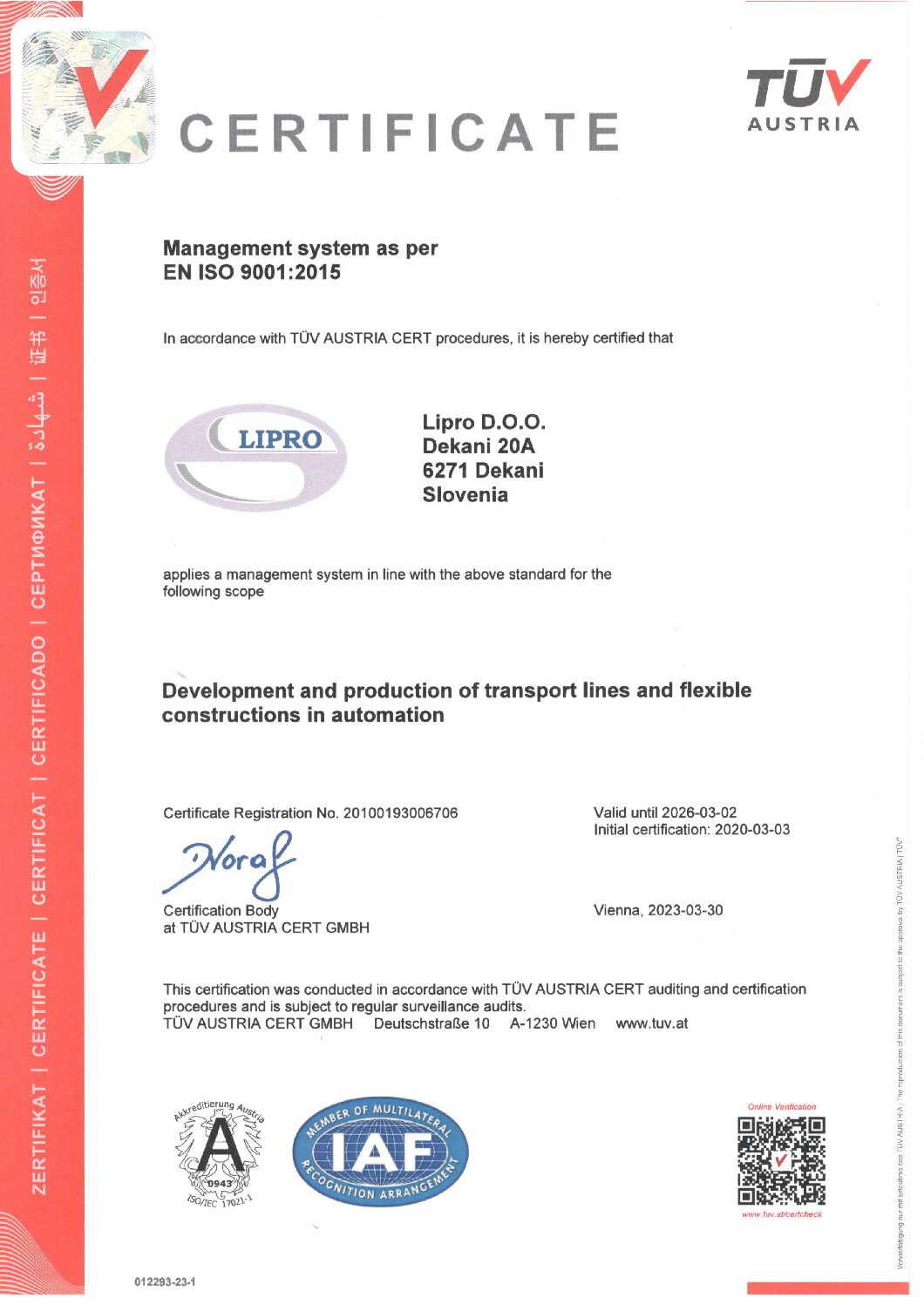 ISO 9001 ANG pdf
